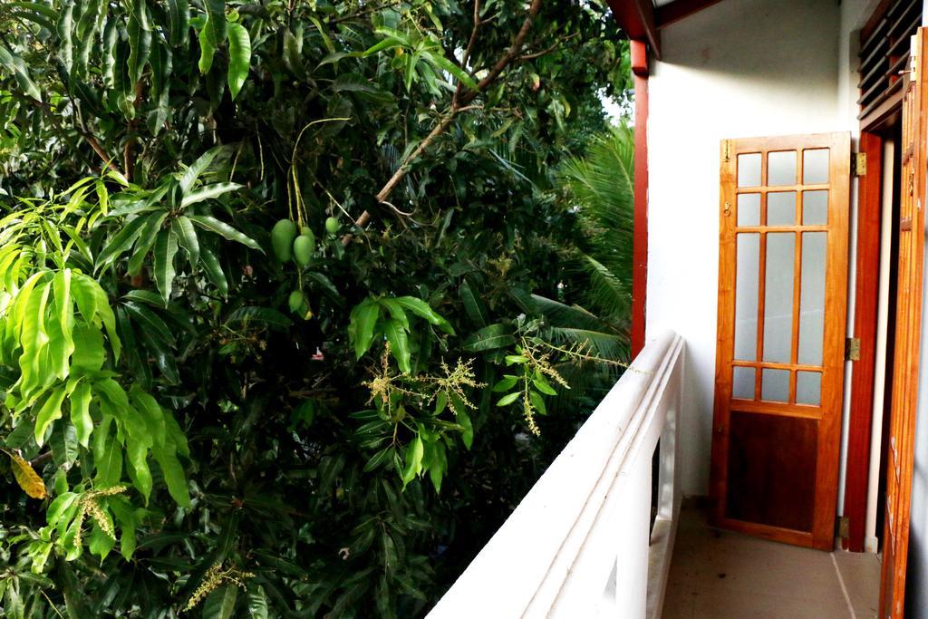 The Cool Nest Yala Hotel Tissamaharama Zewnętrze zdjęcie